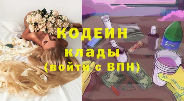 прущие крисы Медвежьегорск