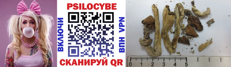 Псилоцибиновые грибы Psilocybine cubensis  blacksprut рабочий сайт  Ясногорск  купить наркотик 